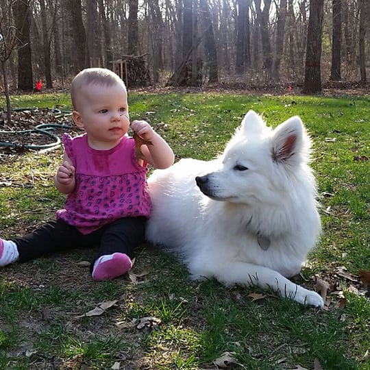 baby sitting outside with a dog