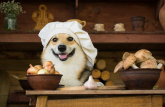 Is Garlic Bad for Dogs? A List of Foods Dangerous to Dogs