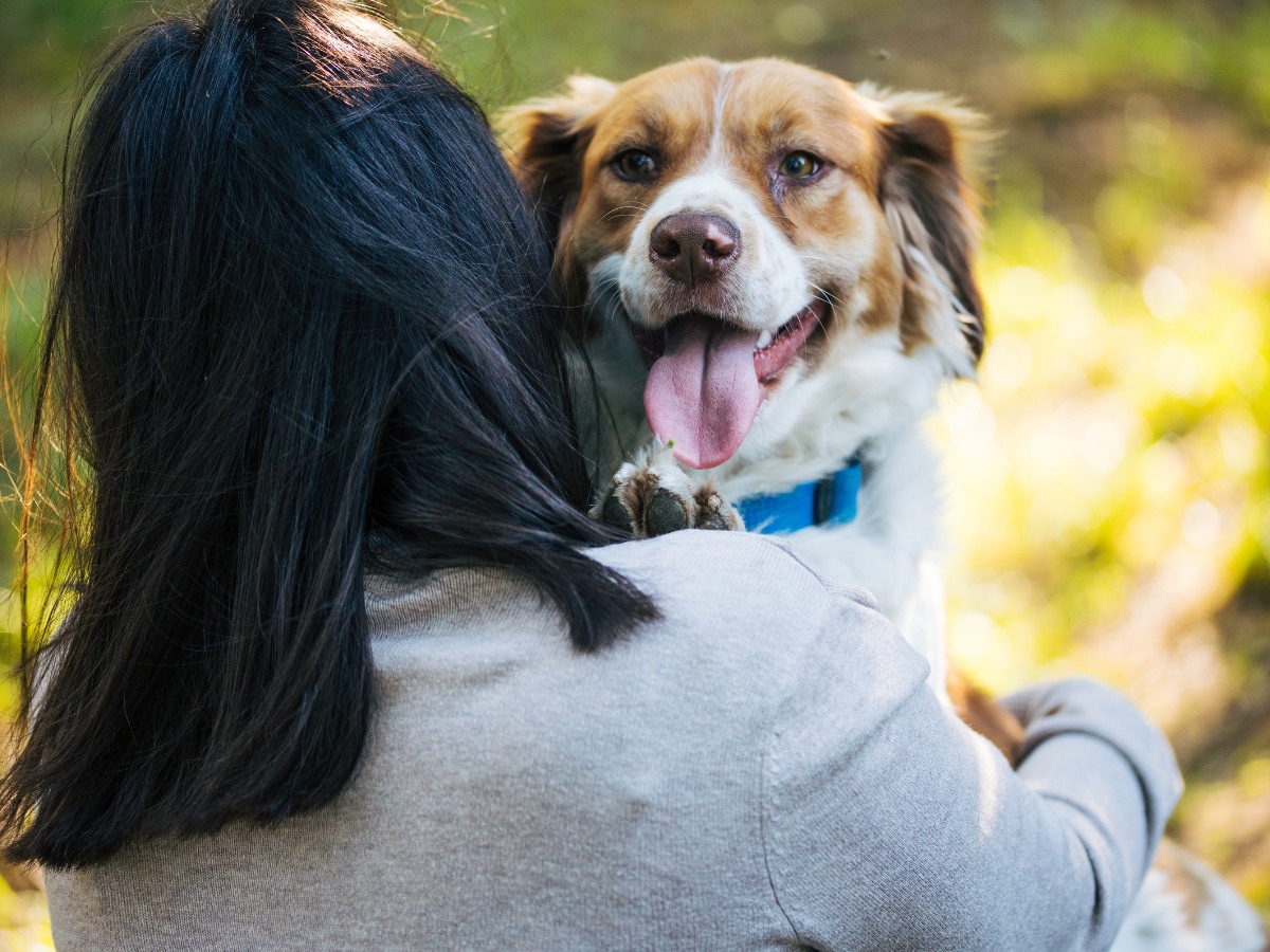 Woman hugging a happy dog outdoors