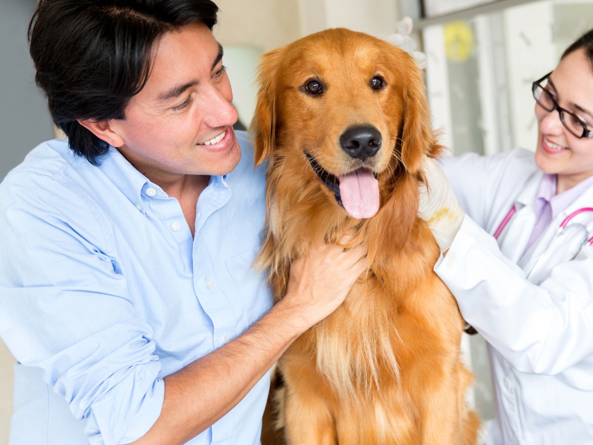 Golden retriever with veterinarian and smiling owner