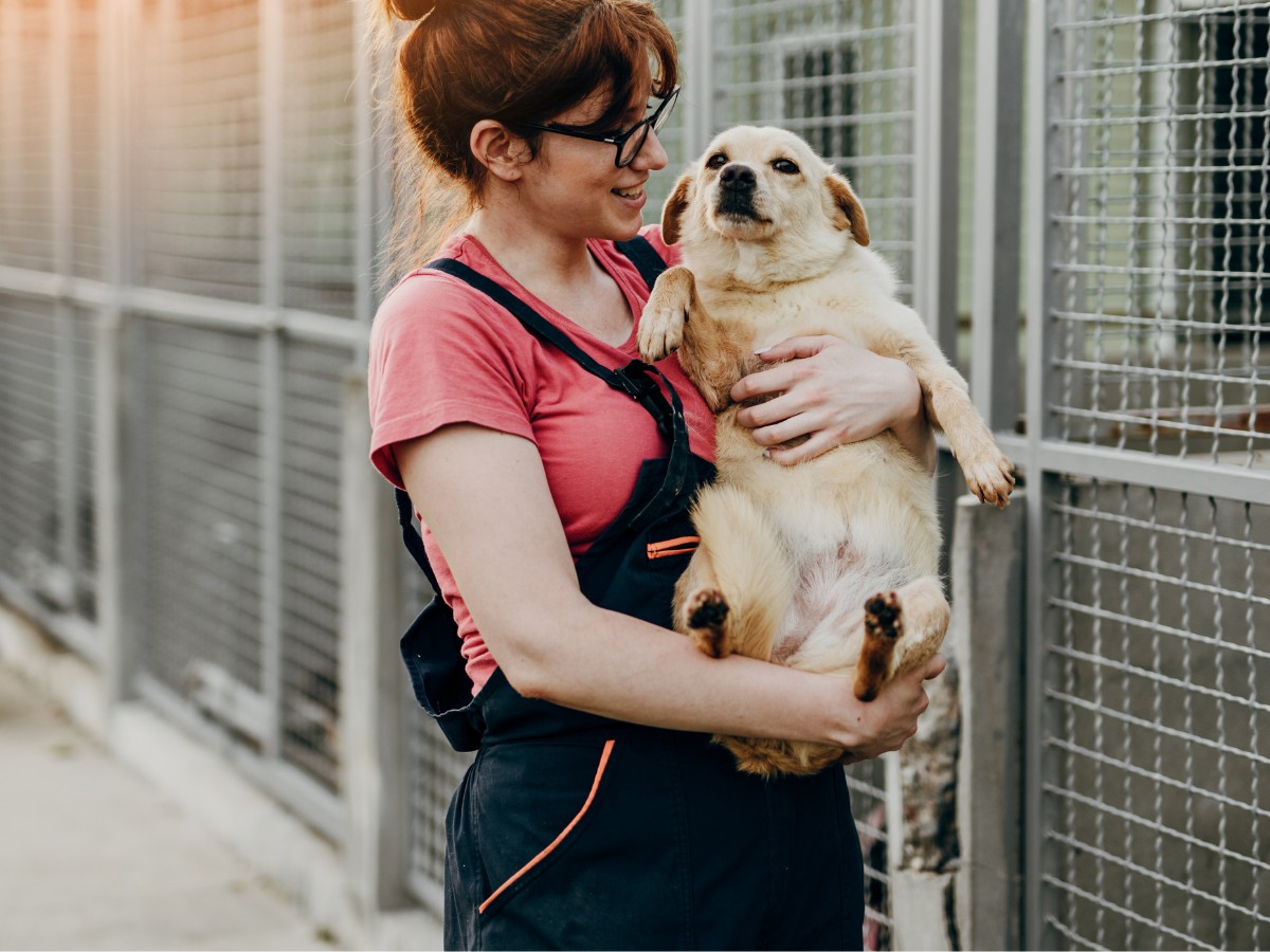 A person holding a small dog