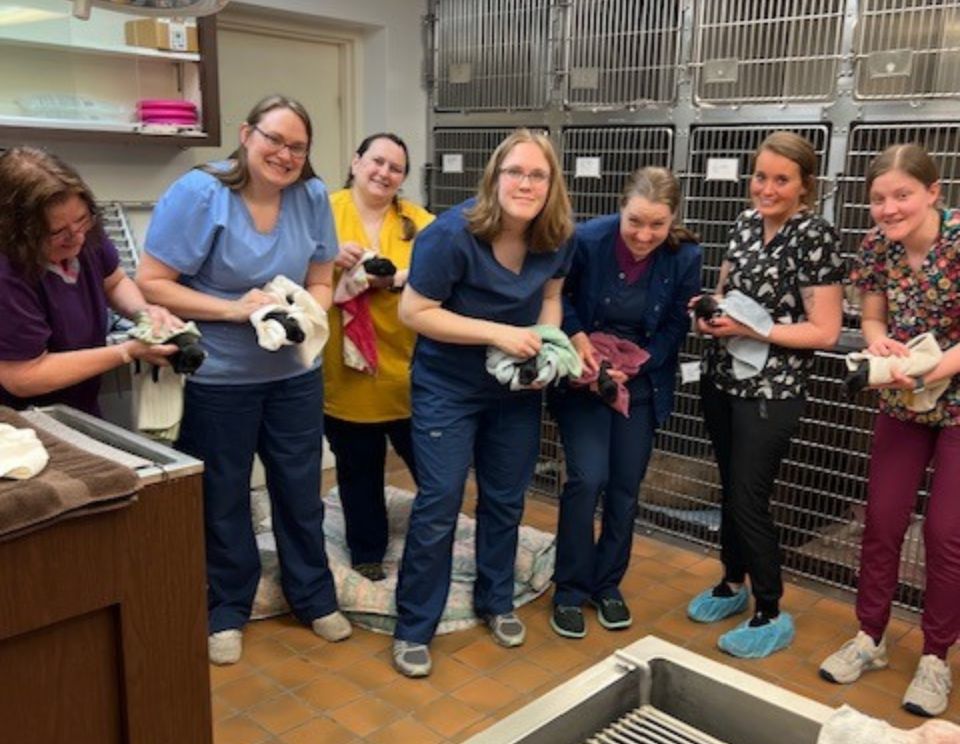 a group of vet techs posing for a photo